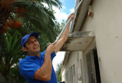 Pinturas nas Escolas